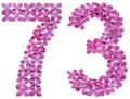 Arabic numeral 73, seventy three, from flowers of lilac, isolate