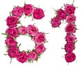 Arabic numeral 61, sixty one, from red flowers of rose, isolated