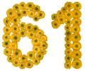 Arabic numeral 61, sixty one, from yellow flowers of buttercup,