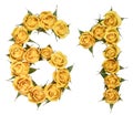 Arabic numeral 61, sixty one, from yellow flowers of rose, isolated on white background Royalty Free Stock Photo