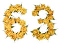 Arabic numeral 63, sixty three, from yellow flowers of rose, iso