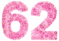 Arabic numeral 62, sixty two, from pink forget-me-not flowers, i