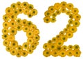 Arabic numeral 62, sixty two, from yellow flowers of buttercup, Royalty Free Stock Photo