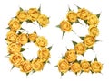 Arabic numeral 62, sixty two, from yellow flowers of rose, isolated on white background Royalty Free Stock Photo