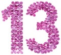 Arabic numeral 13, thirteen, from flowers of lilac, isolated on