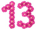 Arabic numeral 13, thirteen, from pink flowers of flax, isolated on white background