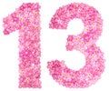 Arabic numeral 13, thirteen, from pink forget-me-not flowers, is