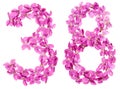 Arabic numeral 38, thirty eight, from flowers of viola, isolated