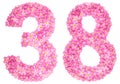 Arabic numeral 38, thirty eight, from pink forget-me-not flowers