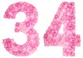 Arabic numeral 34, thirty four, from pink forget-me-not flowers,