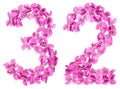 Arabic numeral 32, thirty two, from flowers of viola, isolated o Royalty Free Stock Photo