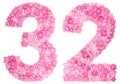 Arabic numeral 32, thirty two, from pink forget-me-not flowers,