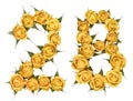 Arabic numeral 28, twenty eight, from yellow flowers of rose, is Royalty Free Stock Photo