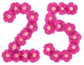 Arabic numeral 25, twenty five, from pink flowers of flax, isolated on white background Royalty Free Stock Photo