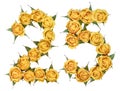 Arabic numeral 25, twenty five, from yellow flowers of rose, iso Royalty Free Stock Photo