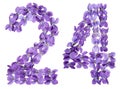 Arabic numeral 24, twenty four, from flowers of viola, isolated