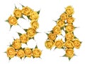 Arabic numeral 24, twenty four, from yellow flowers of rose, iso Royalty Free Stock Photo