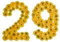 Arabic numeral 29, twenty nine, from yellow flowers of buttercup