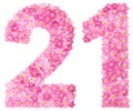 Arabic numeral 21, twenty one, from pink forget-me-not flowers,