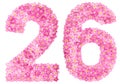Arabic numeral 26, twenty six, from pink forget-me-not flowers,