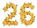 Arabic numeral 26, twenty six, from yellow flowers of rose, isolated on white background Royalty Free Stock Photo