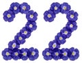 Arabic numeral 22, twenty two, from blue flowers of flax, isolated on white background Royalty Free Stock Photo