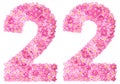 Arabic numeral 22, twenty two, from pink forget-me-not flowers,