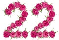 Arabic numeral 22, twenty two, from red flowers of rose, isolate