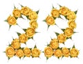 Arabic numeral 22, twenty two, from yellow flowers of rose, isolated on white background Royalty Free Stock Photo