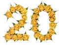 Arabic numeral 20, twenty, from yellow flowers of rose, isolated Royalty Free Stock Photo