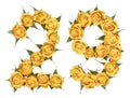 Arabic numeral 29, twenty nine, from yellow flowers of rose, iso Royalty Free Stock Photo