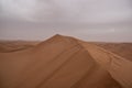 Arabic sand desert at Liwa, UAE