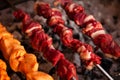 Arabic shish kabab Meat and Chicken Barbecue on coal grill Royalty Free Stock Photo