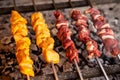 Arabic shish kabab Meat and Chicken Barbecue on coal grill Royalty Free Stock Photo