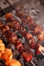 Arabic shish kabab Meat and Chicken Barbecue on coal grill Royalty Free Stock Photo