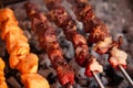 Arabic shish kabab Meat and Chicken Barbecue on coal grill Royalty Free Stock Photo