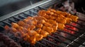 Arabic traditional food Shish taouk on the grill