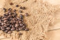 Arabica coffee bean Royalty Free Stock Photo