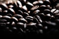 Arabica coffee beans texture brown Royalty Free Stock Photo