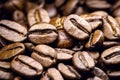 Arabica coffee seeds a type of natural coffee from Arabia or Ethiopia. Spot focus