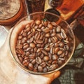 Arabica Coffee Sindang Dataran Rejang Lebong Regency of Bengkulu Indonesia