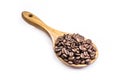 Arabica roasted coffee in brazilian wooden spoon, coffee seeds with copy space Royalty Free Stock Photo