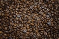 Arabica. Royalty Free Stock Photo