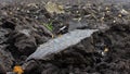 Arable agricultural industry. Farmland landscape, recently plowed and prepared for harvest, agriculture