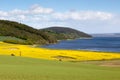 Arable farming fields near Munlochy Bay Royalty Free Stock Photo