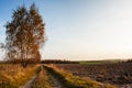 Arable field in autumn, agriculture in the countryside Royalty Free Stock Photo