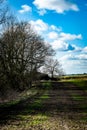 Arable field edge Royalty Free Stock Photo