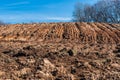 Arable field in a hilly place, at the edge of the forest, on a sunny spring day Royalty Free Stock Photo