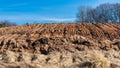 Arable field in a hilly place, at the edge of the forest, on a sunny spring day Royalty Free Stock Photo