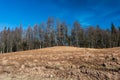Arable field in a hilly place, at the edge of the forest, on a sunny spring day Royalty Free Stock Photo